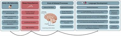 The role of sleep disturbances in associations between early life adversity and subsequent brain and language development during childhood